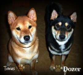 tobias y dozer